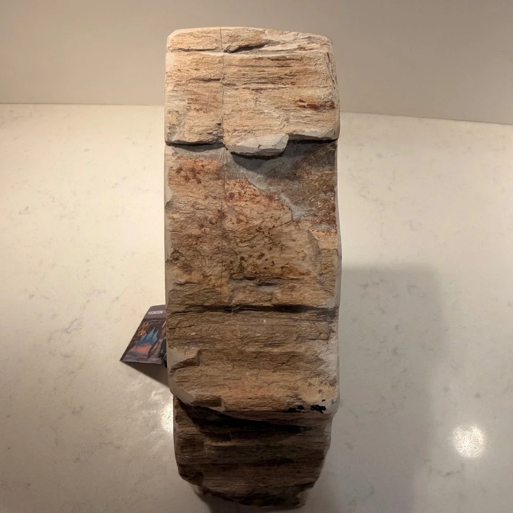 Natural Petrified Wood Single Bookend Handmade Heavy Large Neutral Bibliophile
